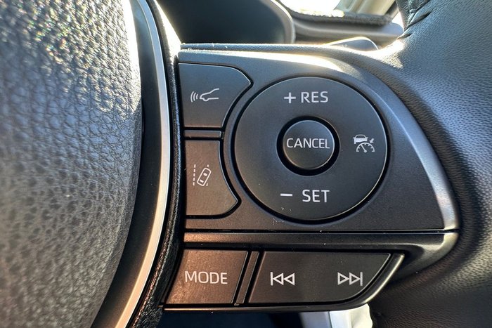 2022 Toyota RAV4 Cruiser