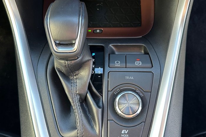 2022 Toyota RAV4 Cruiser