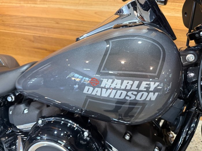 2021 Harley-davidson FLSB SPORT GLIDE (107) Grey