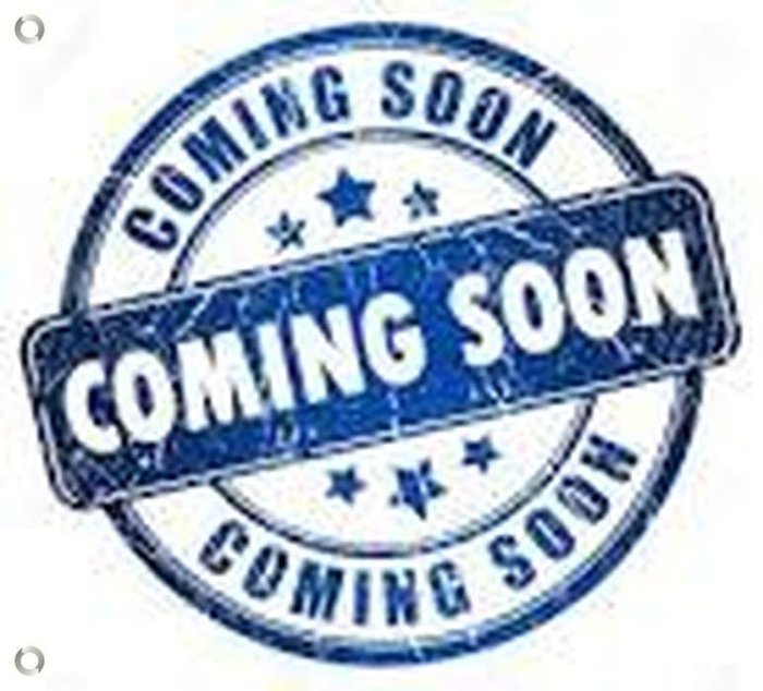 2006 Ford Territory TX SY Mercury