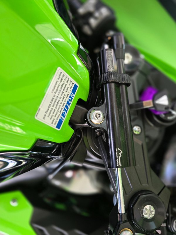 2025 Kawasaki NINJA ZX-10R Green
