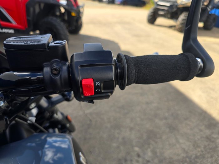 2022 Indian SCOUT ROGUE STEALTH GRAY