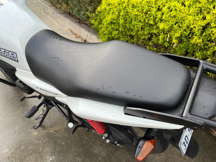 2024 Honda CB125F (CBF125) White