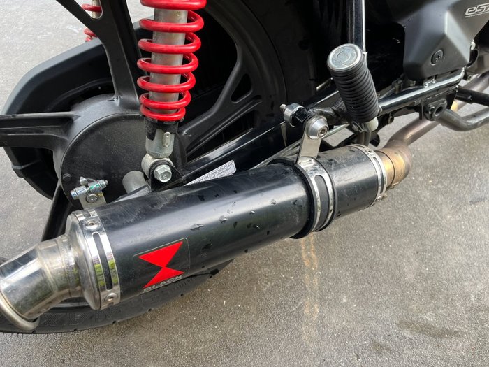2024 Honda CB125F (CBF125) White