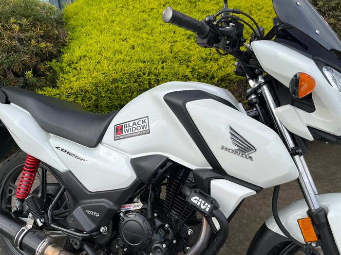 2024 Honda CB125F (CBF125) White