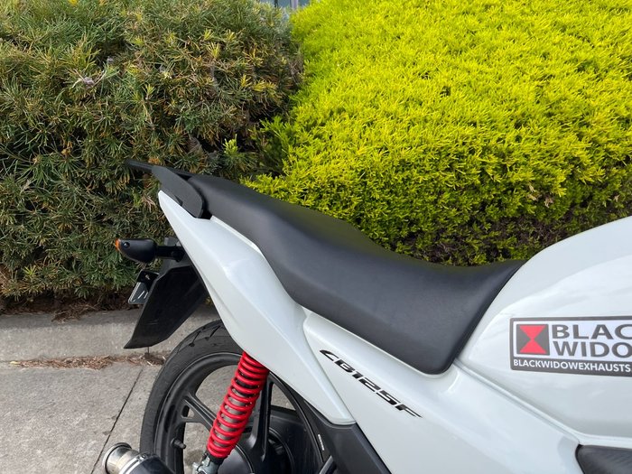 2024 Honda CB125F (CBF125) White