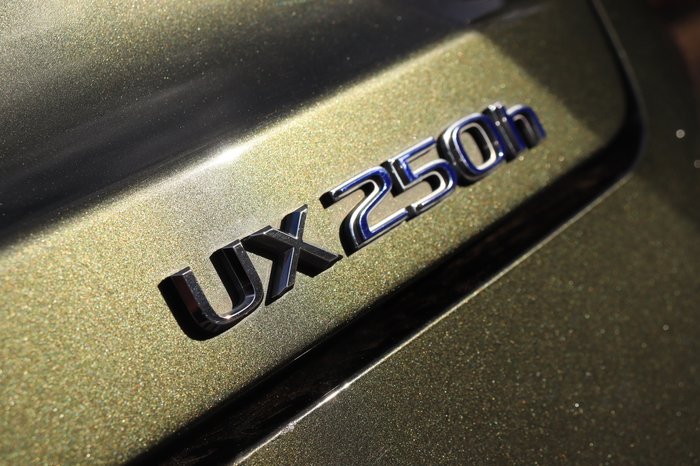2021 Lexus UX UX250h Luxury