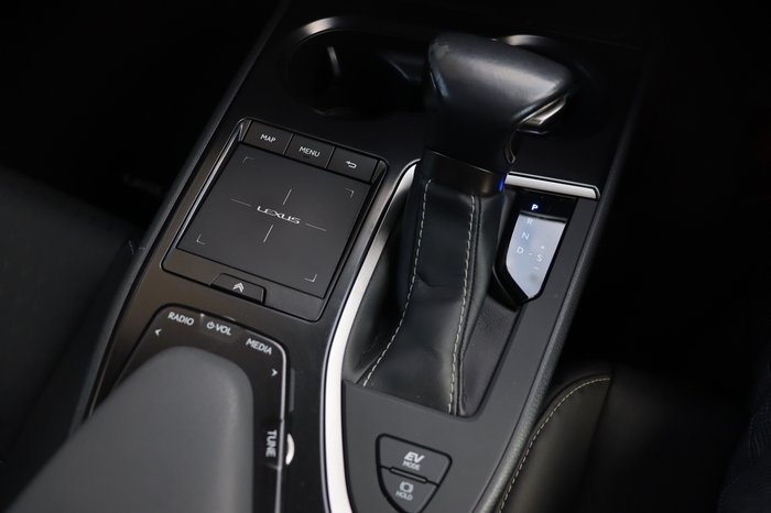 2021 Lexus UX UX250h Luxury