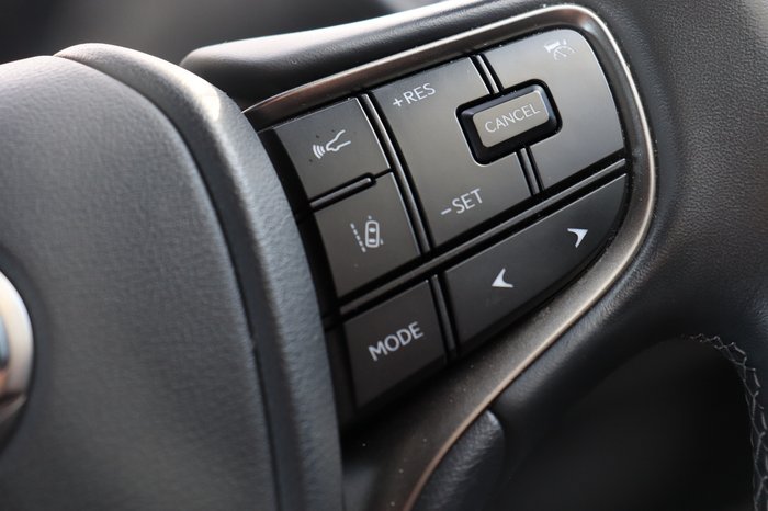 2021 Lexus UX UX250h Luxury