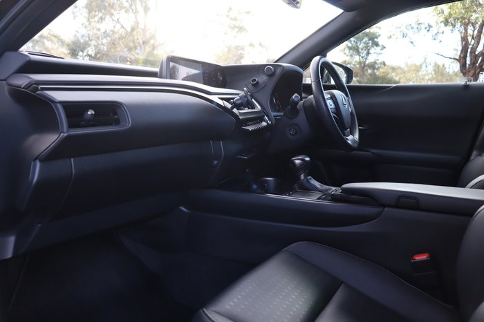 2021 Lexus UX UX250h Luxury