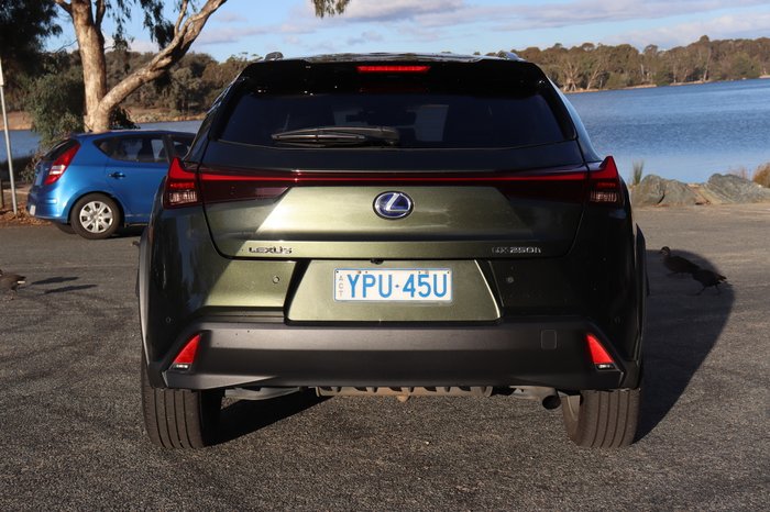 2021 Lexus UX UX250h Luxury