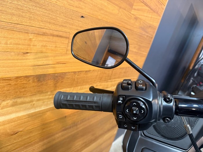 2025 Harley-davidson FLTRX ROAD GLIDE (117) Billiard Gray