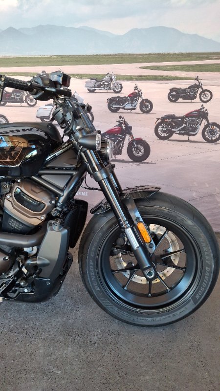 2022 Harley-davidson RH1250S SPORTSTER S Black