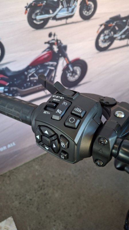2022 Harley-davidson RH1250S SPORTSTER S Black