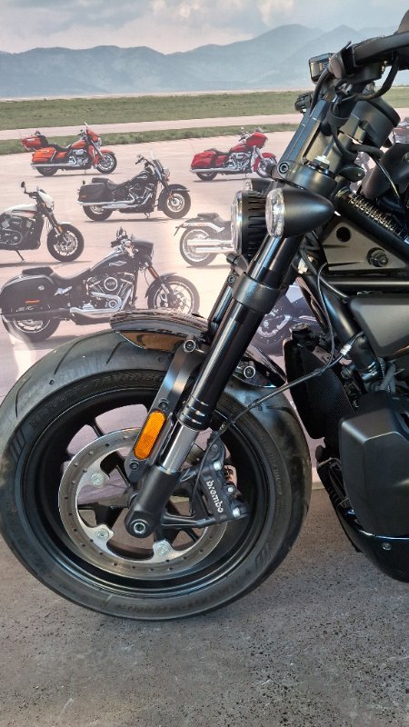 2022 Harley-davidson RH1250S SPORTSTER S Black