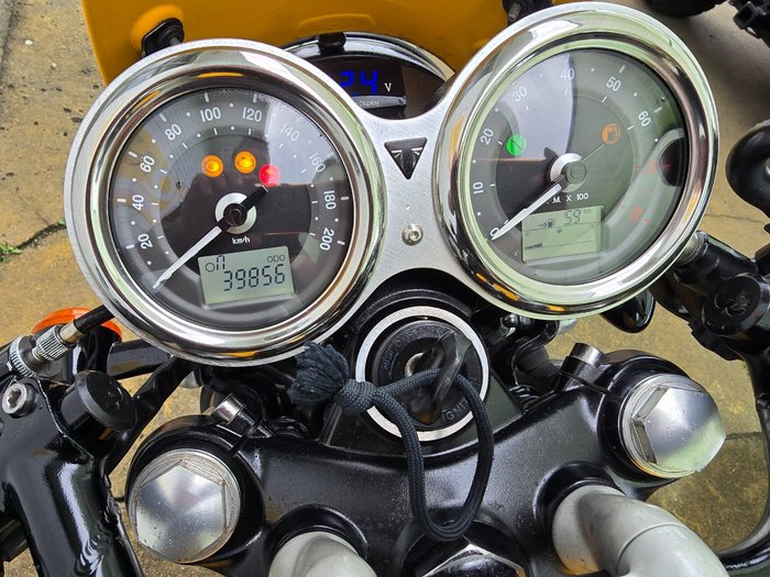 2017 Triumph STREET CUP Yellow
