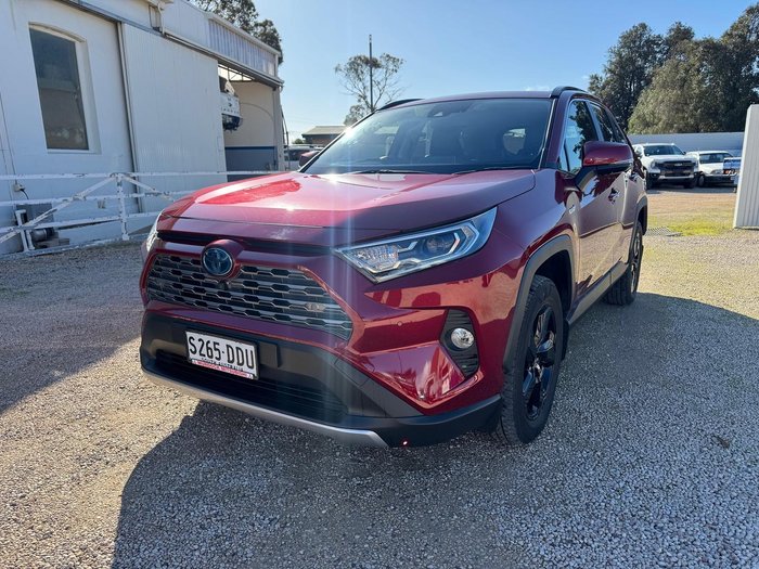 2020 Toyota RAV4 Cruiser AXAH54R 4X4 On Demand Atomic Rush