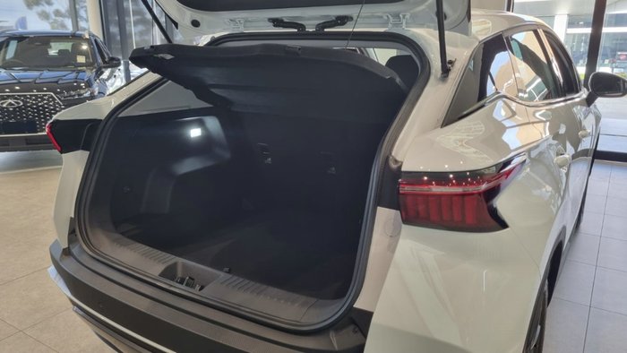 2025 CHERY C5 URBAN