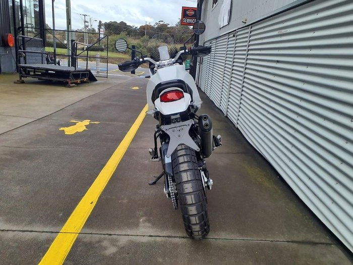 2025 Ducati Desert X Desert X White