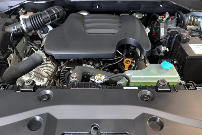 2025 GWM Cannon Premium