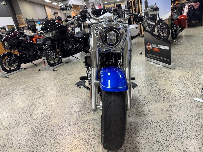 2025 Harley-Davidson Fat Boy 117 (FLFB) Softail Blue