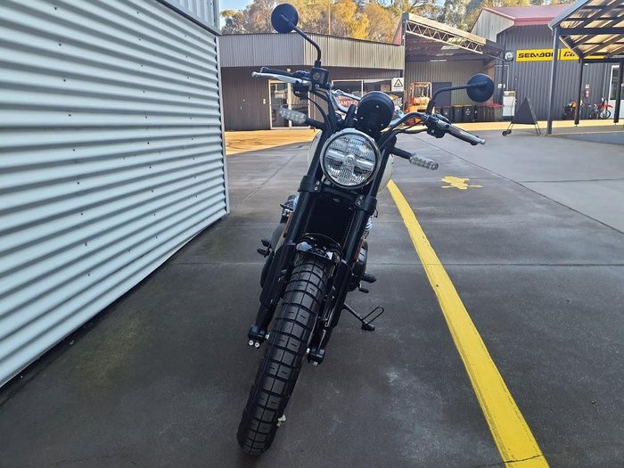 2025 Royal Enfield Bear 650 650 Twin