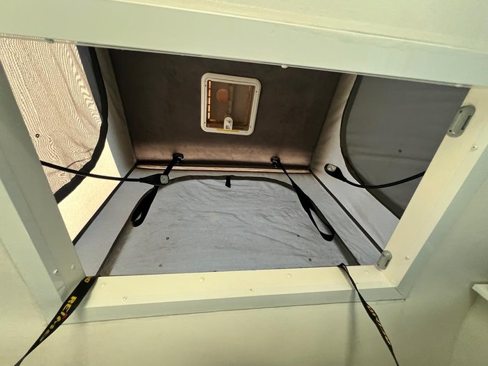 2023 Nomad Pop Top 4 Birth