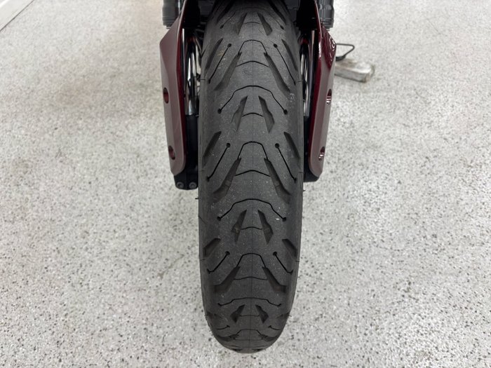 2022 INDIAN FTR SPORT Maroon