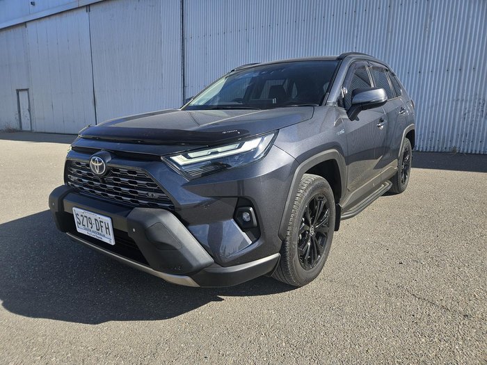 2022 Toyota RAV4 Cruiser