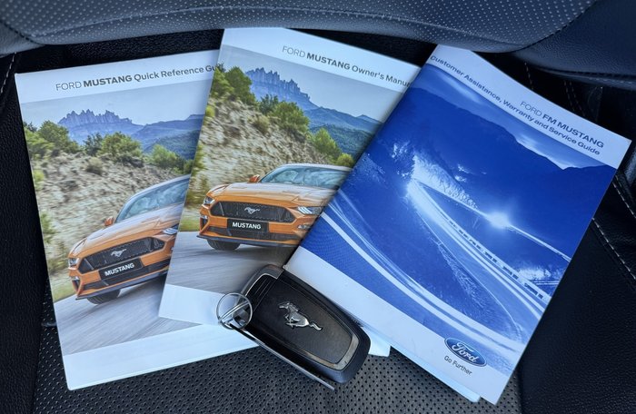 2019 Ford Mustang