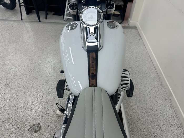 2021 Harley-davidson FLSB SPORT GLIDE White