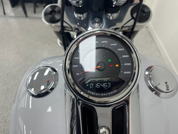 2021 Harley-davidson FLSB SPORT GLIDE White
