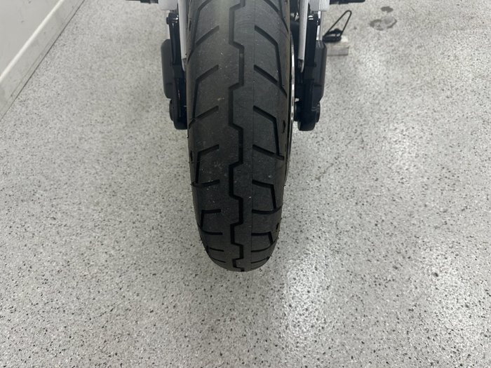 2021 Harley-davidson FLSB SPORT GLIDE White
