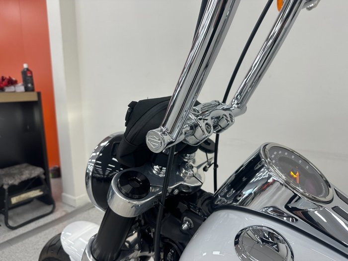 2021 Harley-davidson FLSB SPORT GLIDE White