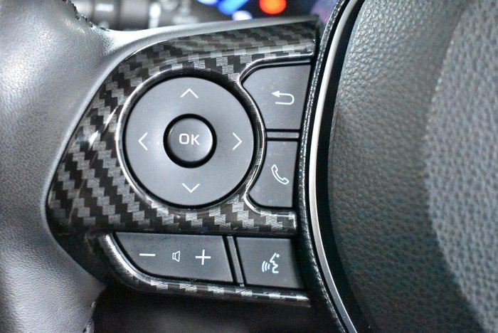 2020 Toyota RAV4 Cruiser