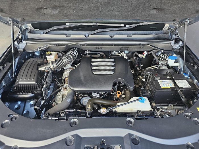 2022 GWM Ute Cannon-X