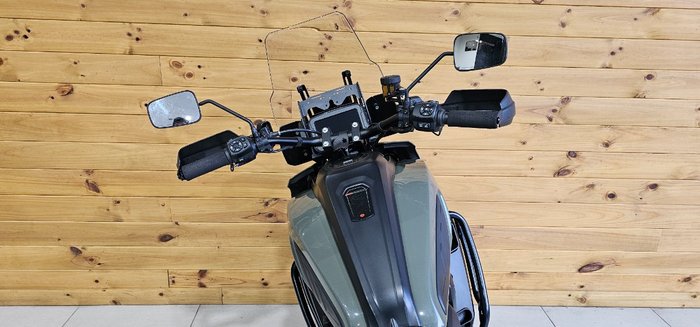 2021 Harley-davidson RA1250S PAN AMERICA SPECIAL Green