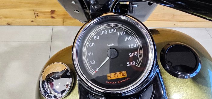 2017 Harley-davidson FLS SOFTAIL SLIM OLIVE GOLD
