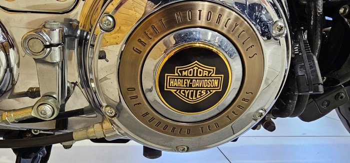 2012 Harley-davidson XL1200C 1200 CUSTOM BROWN