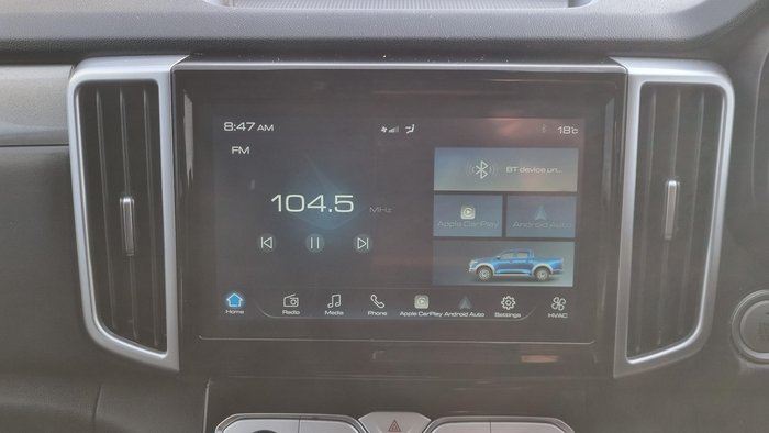 2021 GWM Ute Cannon