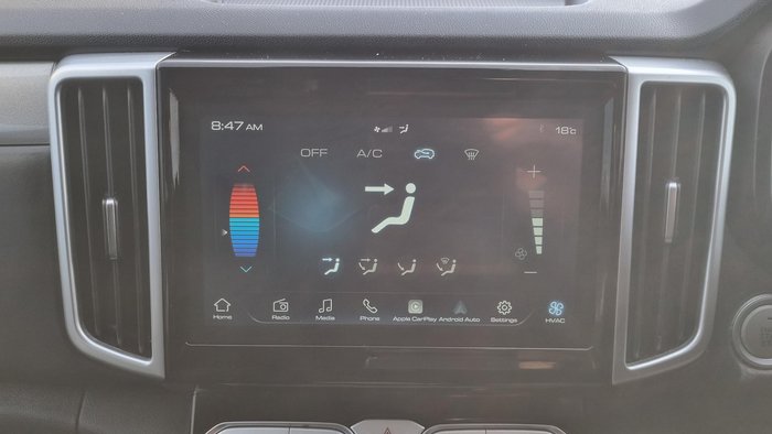 2021 GWM Ute Cannon