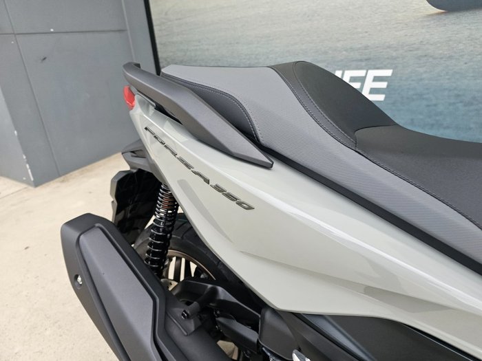 2025 Honda FORZA 350 (NSS350A) GREY