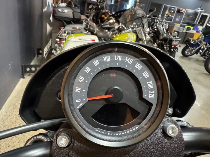 2025 Harley-davidson FXLRS LOW RIDER S (117) Grey