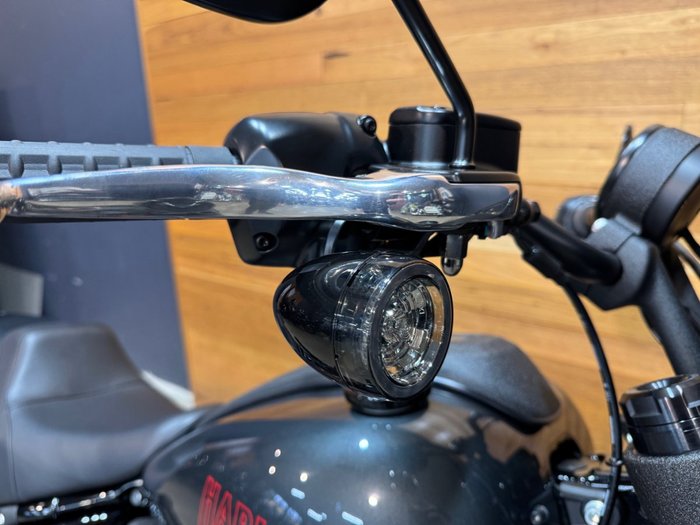 2025 Harley-davidson FXLRS LOW RIDER S (117) Grey