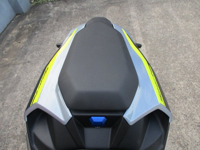 2024 BMW Motorrad S 1000 R BLUE