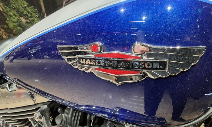 2006 Harley-Davidson Softail Deluxe 1450 (FLSTN) Softail Blue