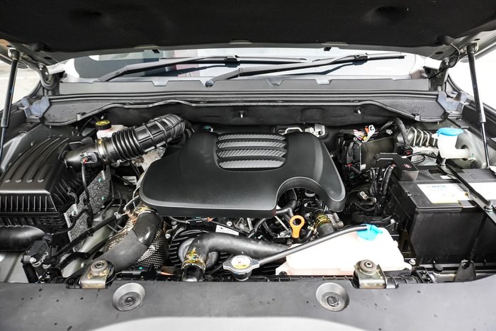 2021 GWM Ute Cannon-X