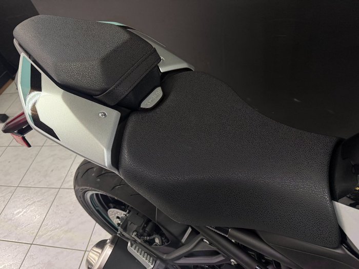 2025 Kawasaki 2025 Kawasaki 900CC Z900 SILVER/BLACK/BLUE