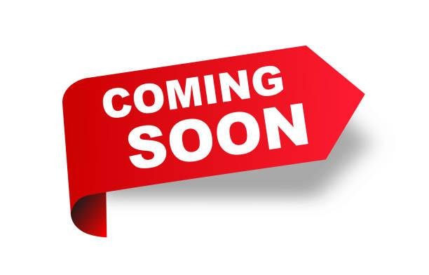 2020 LDV T60 PRO