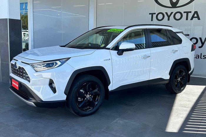 2020 Toyota RAV4 Cruiser